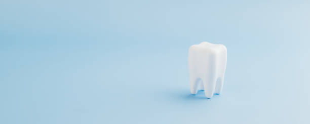 istock Dentist Day. A Dentist examines a close-up dental teeth model on a blue background 2202200899