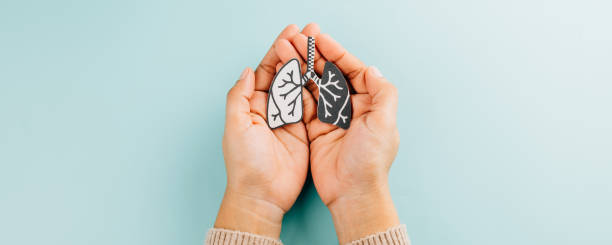 istock Lungs paper held by two hands represents World TB Day. Raising awareness about tuberculosis 2202201497
