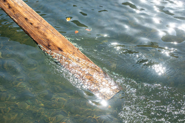 Wooden paddle board on the boat at Hozugawa River