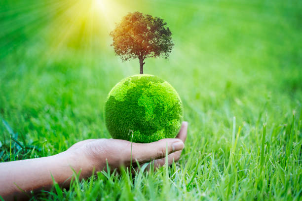 A hand holds a green globe made of grass and soil, symbolizing environmental sustainability and the planet's care. Ecological responsibility,conservation efforts for environmental awareness campaigns