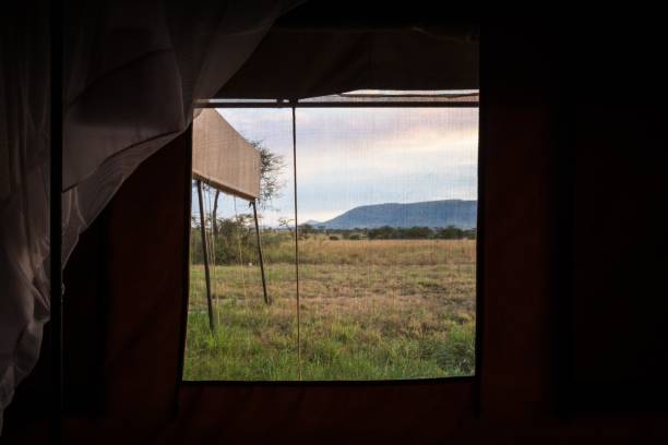 istock View Through Tent Window to African Savannah Landscape 2202205380