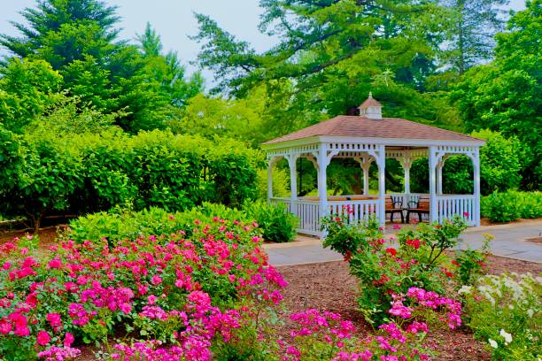 istock Gazebo within the rose garden 2202211240