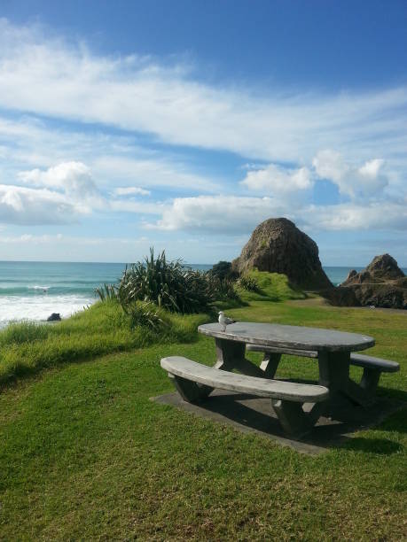 istock Seagull on the bench overlooking the sea 2202211265