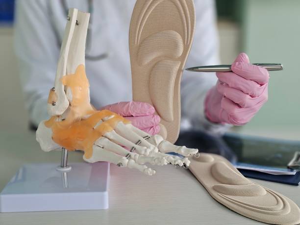 istock Understanding foot anatomy through models and practical demonstrations 2202214672