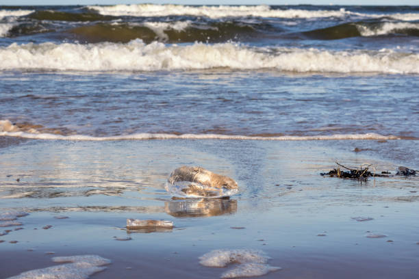istock .chunks of ice on a gray sandy surface with reflections, water and waves in the background. 2202217832