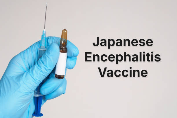 istock Japanese Encephalitis Vaccine text meaning of vaccination topic 2202218542