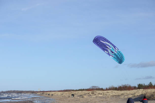 a kite with a blue and white pattern flying in the blue sky.