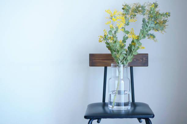 istock Mimosa, a flower that signals the arrival of spring 2202220834
