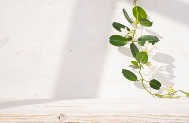 istock Counter mock up design for product presentation background with bleached wood table and blur cream white wall including flower liana 2202223718