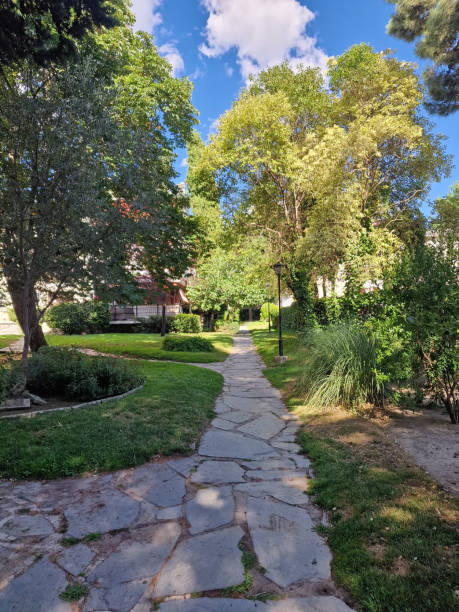 istock quiet green path in a relaxing wooded area 2202227749