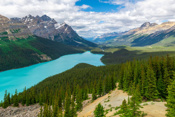 istock Peyto Lake, Banff national park, Canada 2202232881