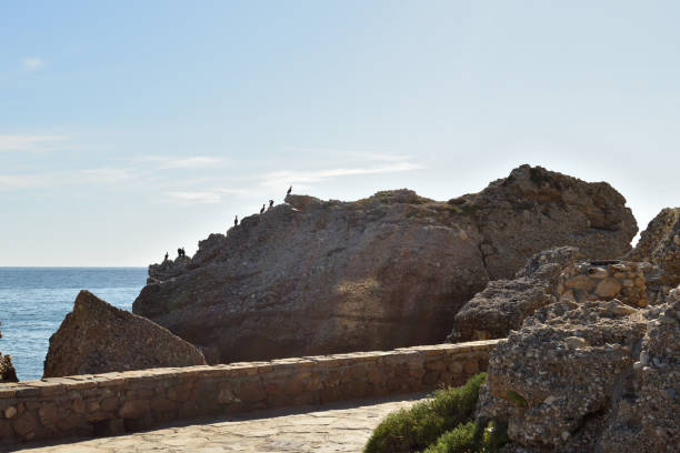 Stone Walkway by the Sea with Rocky Shoreline