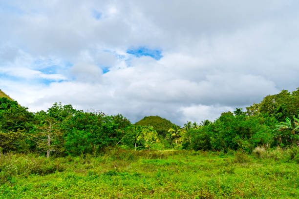 The Chocolate Hills in Bohol.  These are limestone mounds formed by erosion and are a major tourist attraction.