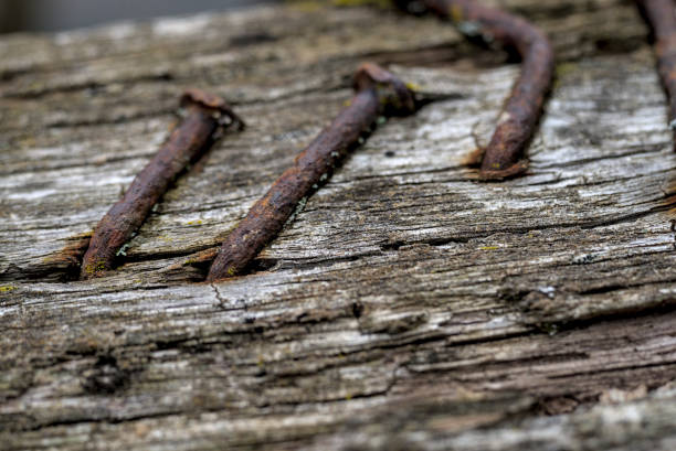 A rusty nails in a piece of wood close-up, a nails is bent at an angle