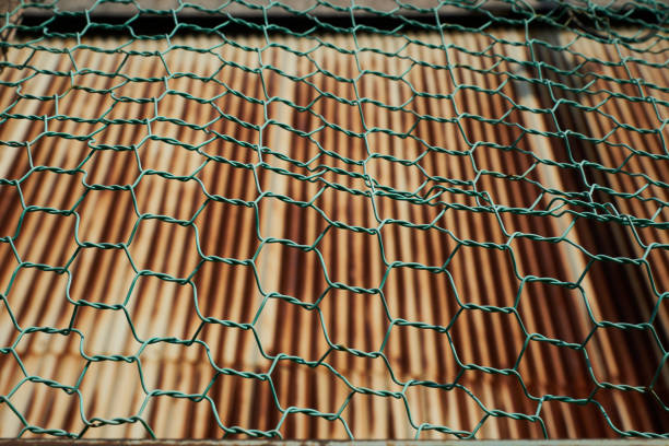 Brown rusted old galvanized sheet iron seen through green fine mesh wire netting. Low angle