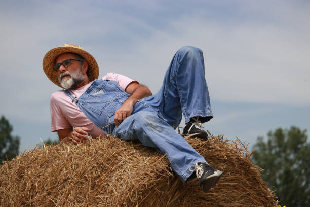 Enjoy in nature love farmer agricultural summer sunny sunflower hay bale