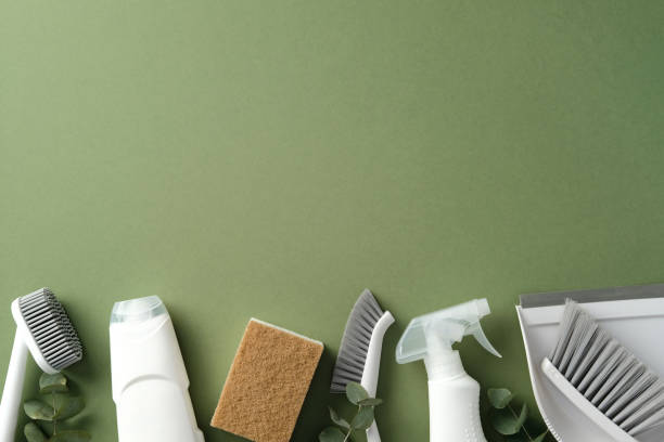 istock Cleaning supplies on a green background, featuring brushes, a sponge, a spray bottle, and a dustpan neatly arranged with green leaves 2202260776