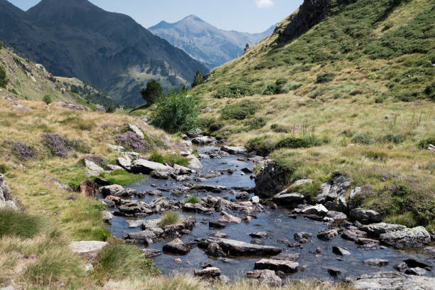 Breathtaking scenery of a clear stream meandering through a lush valley in the pyrenees mountains, a perfect destination for solo travelers