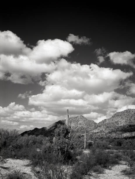 istock San Tan Mountains Sonora Desert Arizona in Monochrome 2202268892