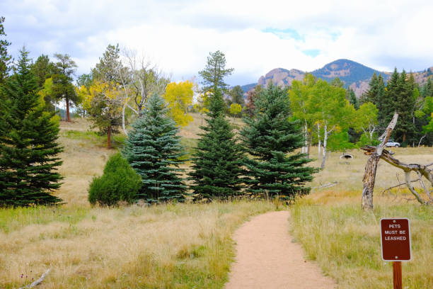 istock Pathway through a natural park with an informational sign. 2202275640
