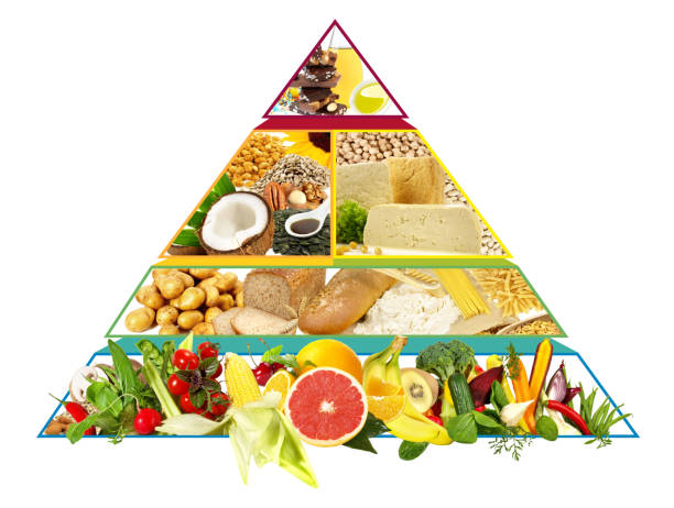 istock Food Pyramid - Vegan Diet Pyramid Recommendations 2202276068