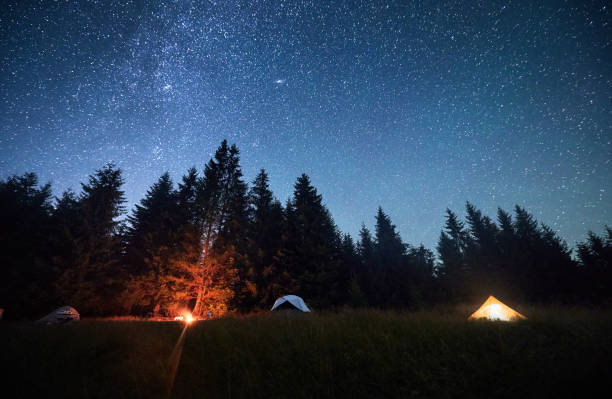 istock Several tents illuminated by glowing campfire in grassy clearing under clear, starry sky. 2202277125