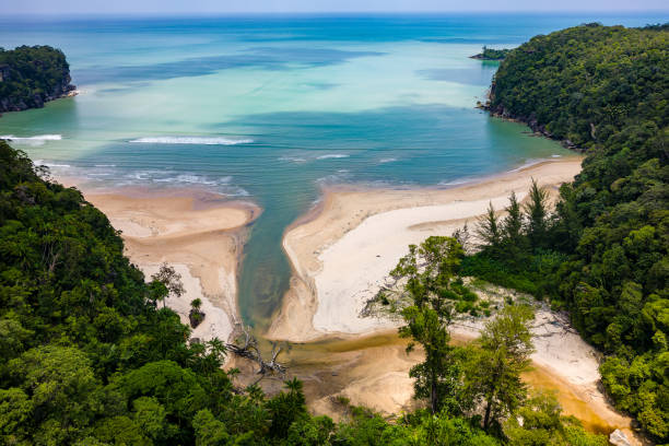 istock Drone view of a small sandy beach surrounded by lush tropical rainforest 2202288573