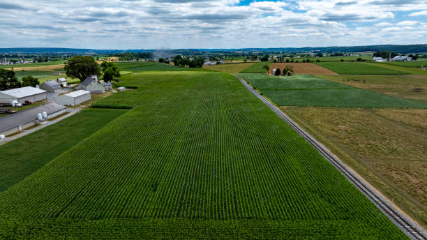 istock Green fields stretch under a cloudy sky with distant farmland and rural structures in the background during vibrant daylight 2202288679