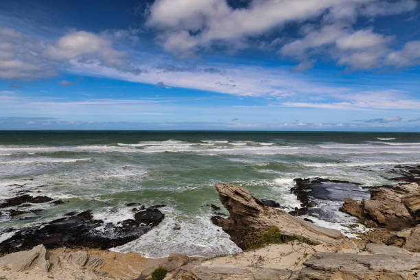 istock beautiful landscape in De Hoop nature reserve 2202292230