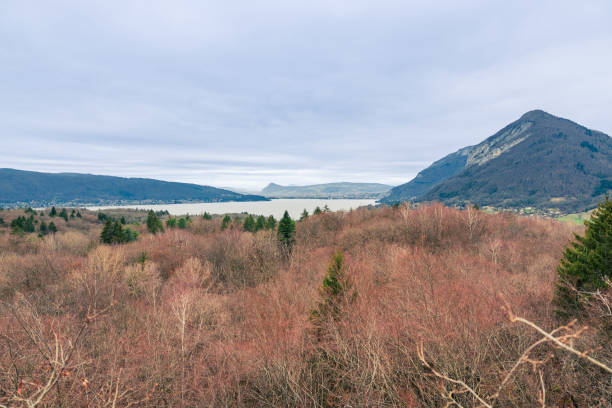 Des sous bois en hiver, randonnée proche du Lac d'Annecy, Talloires