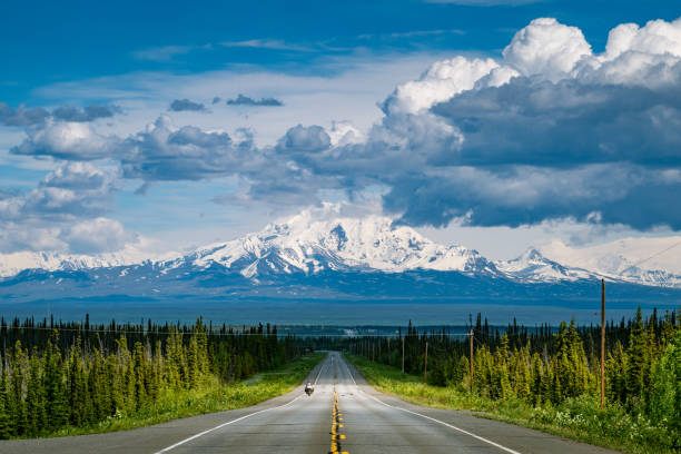 istock Motorbike driving an empty road in Alaska 2202301122