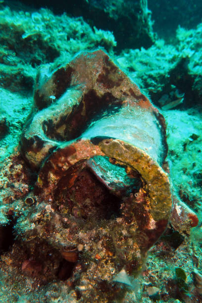 istock Ancient amphora in Adriatic sea, Croatia 2202305951