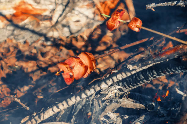 Grilled meat skewers cooking over campfire in autumn forest