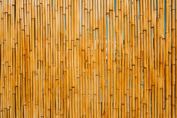 istock Bamboo or reed straw background. Bamboo or reed straw abstract banner. Close up texture and natural patterns, rustic background perfect for design projects. Mock up. 2202308178