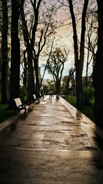 istock Cathedral Square in Chisinau after the rain in spring 2202309513