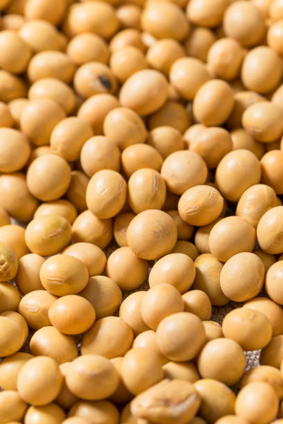 istock Dry Organic Raw Soy Beans 2202313976