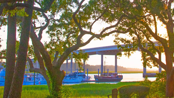 istock Live Oak tree with marina and bridge-Hilton Head, South Carolina 2202314644