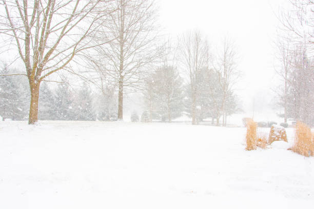 Heavy snowfall blankets a forest landscape in winter, creating a serene and peaceful atmosphere in nature