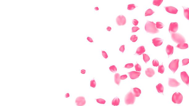 istock Realistic flying petals of pink rose, spring background vector illustration, greeting card 2202320817