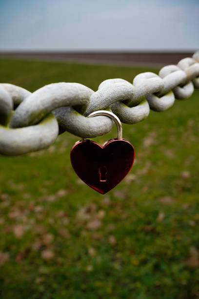 Hearts on wooden background