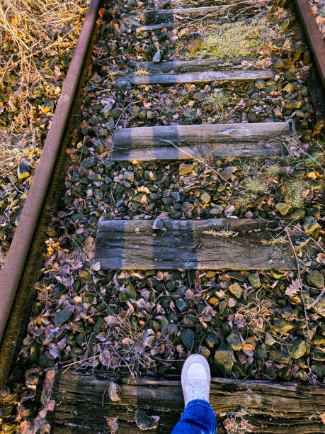 This quiet and deserted place is located in the middle of Hamburg. Disused railway tracks in the city. Discovered during a short walk on a winter morning.