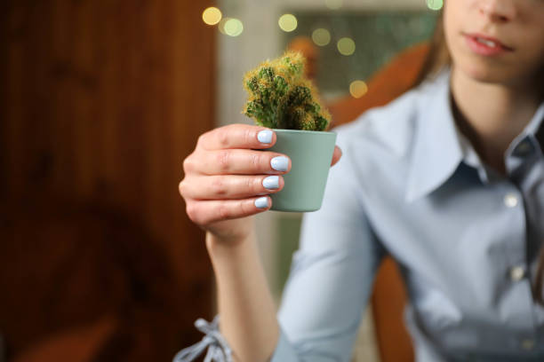 A gorgeous young woman sitting in her cozy home, holding a cactus.