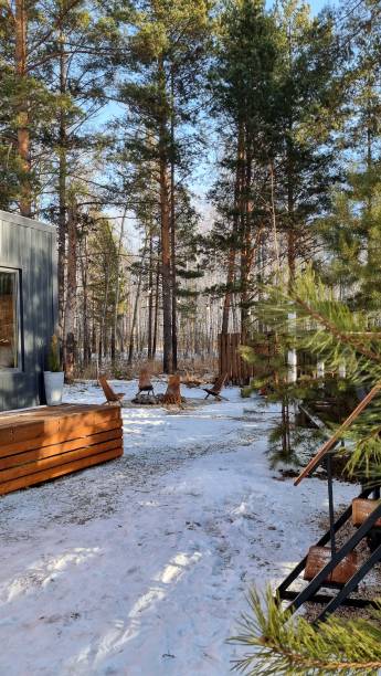 istock The house in the forest 2202323066