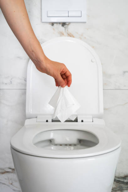 istock Morning self-care routine in a cozy bathroom with a modern toilet 2202330796