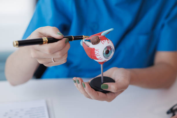 istock ophthalmologist is examining the patient's eye abnormalities to correct them so that they can see more clearly. ophthalmologist is examining the vision to recommend the appropriate eyeglasses. 2202331774