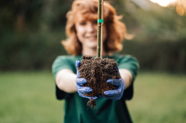 istock Volunteer holding sapling for planting in garden 2202333602