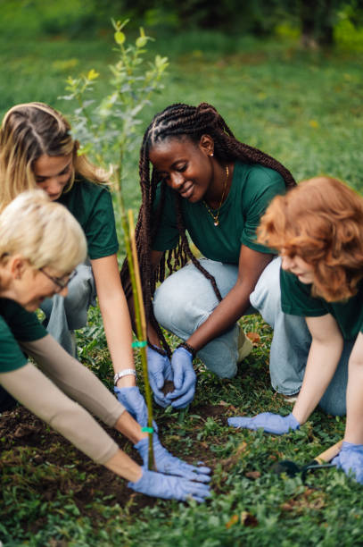 istock Volunteers planting a tree in a park 2202333622