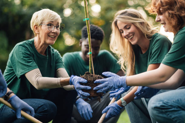 Happy volunteers planting a tree in a park