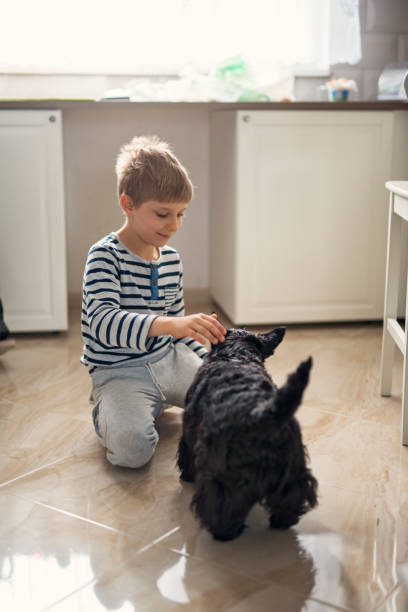 istock Little boy playing with his dog in the kitchen 2202337500