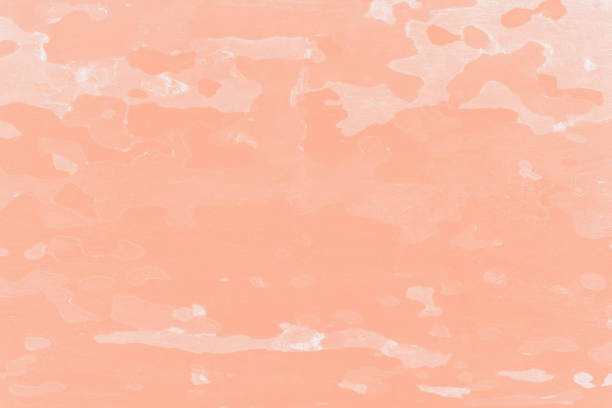 istock Platanus or sycamores bark tree background. Abstract texture background, pale orange toned 2202342864